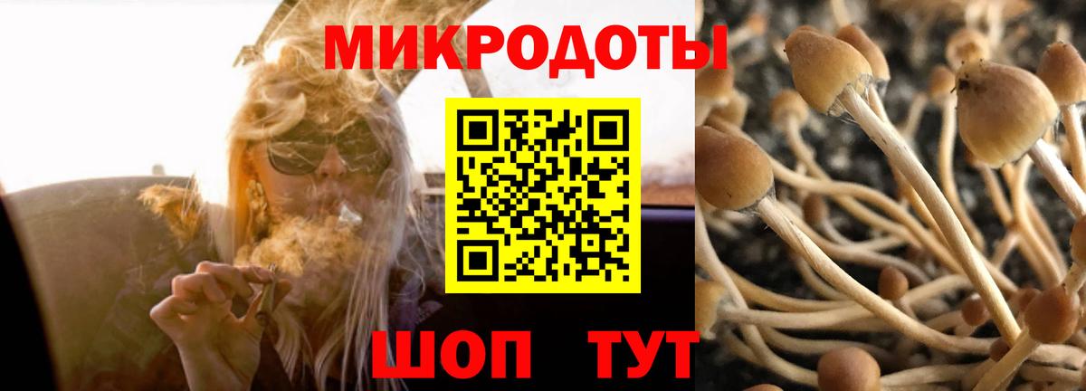 Псилоцибиновые грибы GOLDEN TEACHER Кудымкар